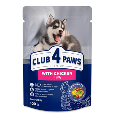 CLUB 4 PAWS Премиум для щенков "С курицей в желе". Полнорационный консервированный корм